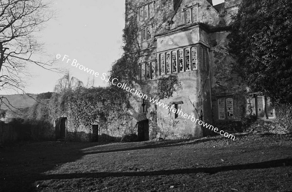 CARRICK CASTLE  DETAILS OF EAST FRONT